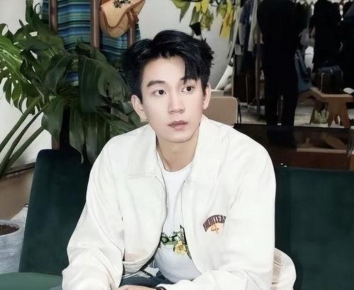 王子奇恋情爆料最新视频,甜蜜互动引网友热议 第1张 王子奇恋情爆料最新视频,甜蜜互动引网友热议 第1张