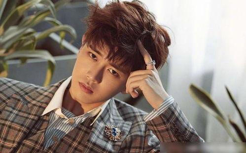 娱乐吃瓜君任嘉伦,娱乐吃瓜界的“瓜王”传奇  第2张