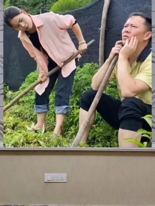 娱乐八卦吃瓜群众,揭秘明星幕后故事,吃瓜群众狂欢时刻 第1张 娱乐八卦吃瓜群众,揭秘明星幕后故事,吃瓜群众狂欢时刻 第1张